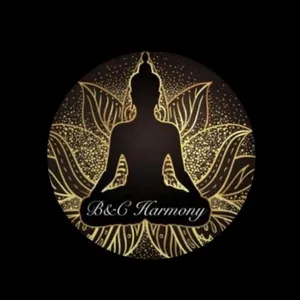 Фото профиля B&C Harmony