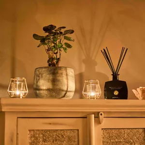 Массажный салон Studio Bonsai - фото 4