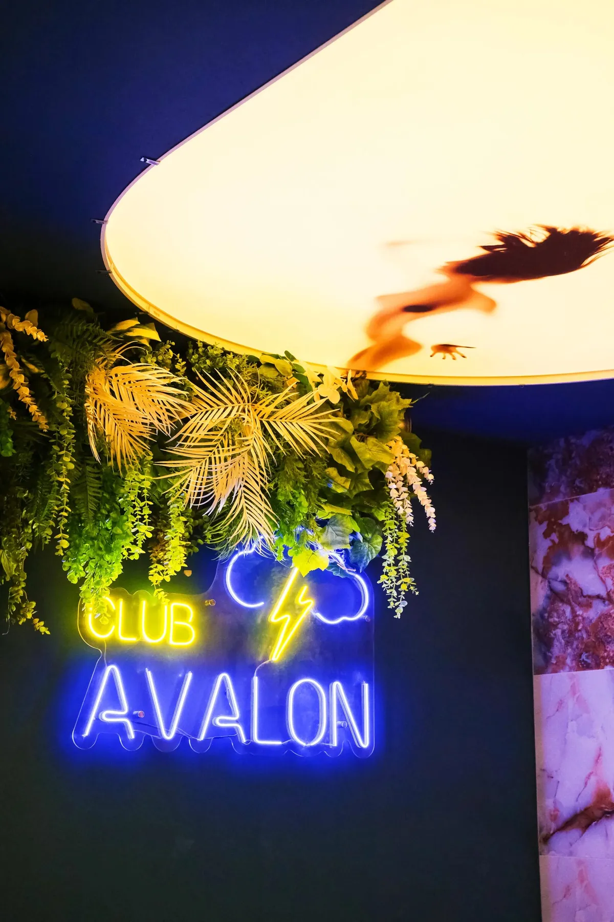 Massage salon Avalon club - photo 3