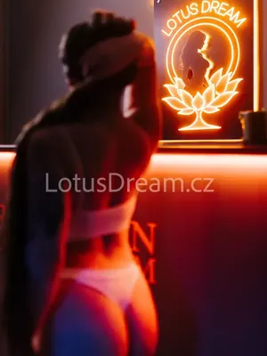 Erotic masseuse Hana - Lotus Dream - Praha 1 – 2