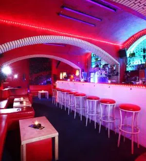 Neon club - Private - Praha 2 (Verified profile)