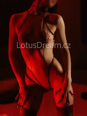 Erotic masseuse Nana, Escort - Lotus Dream - Praha 1 – 3